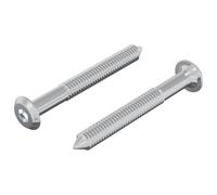 vidaXL Vite 2 pcs Argento M6 x 50 mm Acciaio, Avventure, cilindriche, spedizioni, di notte, mostrando vedute uniche ed esperienze indimenticabili durante il viaggio