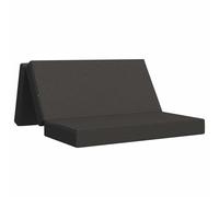 vidaXL Divano Letto Pieghevole 140 x 67 x 45 cm Grigio Scuro, Divano letto pieghevole rettangolare, per camera, salotto, comodo, versatile per ospiti