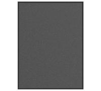vidaXL Zerbino Antracite 80x120 cm, Tappetino, Tappetino di Benvenuto, zerbino Interno, zerbino d'ingresso, zerbino Esterno, zerbino Lavabile