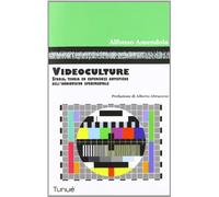 Videoculture. Storia, teorie ed esperienze artistiche dell'audiovisivo sperimentale. Ediz. illustrata