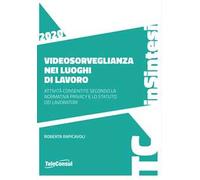 Videosorveglianza nei luoghi di lavoro. Attività consentite secondo la normativa privacy e lo statuto dei lavoratori