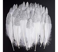 Vidillo Piume Colorate, 40 Pezzi di Piume Bianche Naturali immerse d' Argento Adatto, per Le Feste di Compleanno e Matrimonio Costume, DIY Dream Catchers Orecchini Craft Centrotavola(Argento)