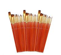 VIDOO 30 Pezzi/Set Spazzole per Pittura Spazzola per Capelli in Nylon per Penne per Pittura Ad Acquerello A Olio Acrilico Kit di Pittura Professionale per Artisti - Rosso