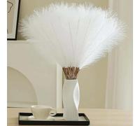 VIDSTW 30 Pezzi Pampas Decorative, 55 cm Erba di Pampa Fiori Secchi Decorativi Piume Decorative Fiori Secchi Decorativi Decorazioni Casa per Vaso, per Decorazioni Matrimonio, Decorazione Casa (Bianco)