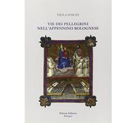 Vie dei pellegrini nellæappennino bolognese
