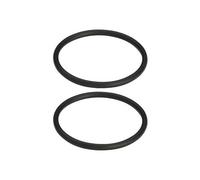 Viega Set O-ring 43x3 | 408 978