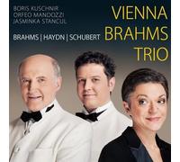 Vienna Brahms Trio - Brahms Haydn Schubert (2 CD)