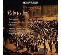VIENNA CHAMBER ORCHESTRA / WESTMINSTER SYM Ode to Joy: Beethoven Symphony (CD)