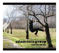 View from the Root by Adam Ezra Group