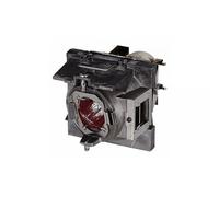 Viewsonic RLC-108 lampada per proiettore (Original Lamp for VIEWSONIC PA503S:PA5