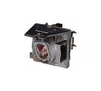 Viewsonic RLC-109 lampada per proiettore (Original Lamp for VIEWSONIC PA503W:PG6