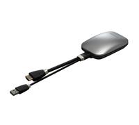 ViewSonic VB-WPS-003 bottone per presentazioni wireless