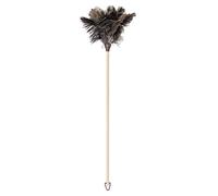 Vigar - Spolverino - Piume di struzzo naturali - 9 x 8 x 74 cm - Pulisce mobili alti, mensole e decorazioni - Spazzola antipolvere multiuso - Colore nero