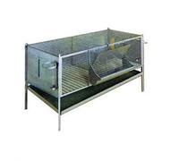 Vigor-Blinky Conigliere Zincate