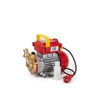 Elettropompa da travaso Rover 25 CE - motore 0,8 hp monofase - pompa elettrica