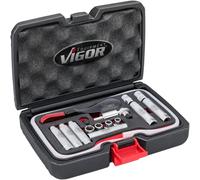 ViGOR Set di spurgo dei freni, 17 pezzi, V7471/17