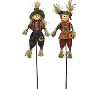 Vigor Spaventapasseri Senior 2 Pezzi