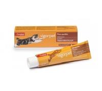 Candioli Pharma Vigorpet Pasta appetibile gatti - 50 g - 1° ORDINE? scegli lo sconto BZR5 / BZR20 + 200 punti fedeltà- Integratori per gatti