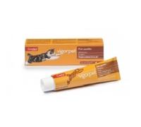 Vigorpet Pasta per Gatti 50g - Nutrimento e Benessere Feline