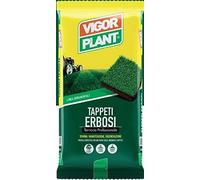 Vigorplant 6 Sacchi di terriccio per Tappeti erbosi da 45 litri