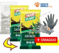 Vigorplant Terriccio per piante grasse 20 lt (3 pz)