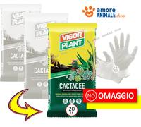 Vigorplant Terriccio per piante grasse 20 lt (3 pz)