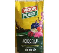 Vigorplant Terriccio Completo per Piante Acidofile 70 lt