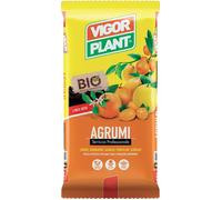 VIGORPLANT TERRICCIO PER AGRUMI 20LT CONCIMI ORTO VERDURE COLTIVARE
