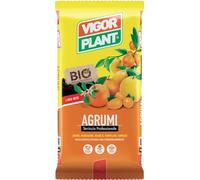VIGORPLANT TERRICCIO PER AGRUMI 20LT CONCIMI ORTO VERDURE COLTIVARE
