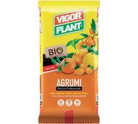 VIGORPLANT TERRICCIO PER AGRUMI 20LT CONCIMI ORTO VERDURE COLTIVARE