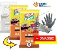 Vigorplant terriccio per Semine e trapianti 25 lt (2 pz)