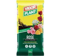Vigorplant terriccio specifico per Rose 1 confezione da 45 Litri