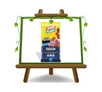 Vigorplant Terriccio Universale Radicom 70 L