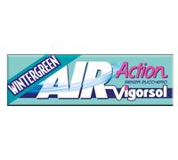 VIGORSOL AIR VIGORSOL WINTERGREEN STICK - CHEWING GUM - 40 PEZZI -