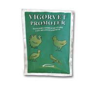 VIGORVET PROMOTER 100G