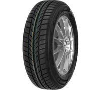 Viking FourTech Plus (215/60 R17 100V)