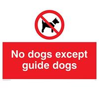 Viking segni pv47-a3l-1 m "No Dogs except guide Dogs" Sign, plastica, 1 mm semirigida, 300 mm altezza x 400 mm larghezza