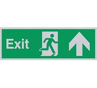 Viking segni sb437-l31-s "exit Sign, UP Arrow, rigida plastica argento, 100 mm altezza x 300 mm larghezza
