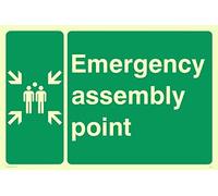 Viking segni sy474-a4l-pv "Emergency Assembly Point Sign, Photoluminescent sticker, 200 mm altezza x 300 mm larghezza