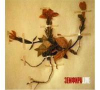 Viktor Zinchuk - Lonely in Night