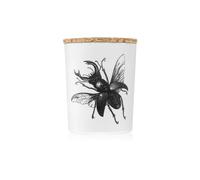 Vila Hermanos Insect Lucanus Cervus 75 g - Candela Profumata