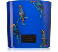 Vila Hermanos Jungletopia Rain Forest candela profumata 620 g