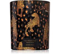 Vila Hermanos Jungletopia Savage Africa candela profumata 200 g