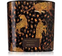 Vila Hermanos Jungletopia Savage Africa candela profumata 620 g