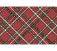 Vilber, Set di 4 tovagliette in vinile (30,5 x 45,6 x 0,22 cm), antimacchia, antiscivolo e resistente al calore, Wales 04