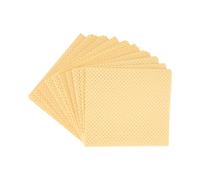 Wettex Professional PVA Microforato 10 Pezzi 35x40cm