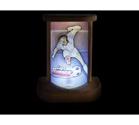 VILEVI Capitan Tsubasa, Holly e Benji, Lampada LED, Maglia Originale Captain Tsubasa, Lampada da Tavolo LED, accendi la Tua Passione, Regalo Bambino (Capitan Tsubasa 03)