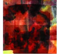 Vilhelm Bromander In This Forever Unfolding Moment (Vinyl LP)