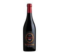 Villa Belvedere Valpolicella Ripasso DOC - Vino Rosso, 750 ml