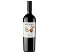 Villa da Filicaja Montepulciano d'Abruzzo DOC 2022 0,75 l